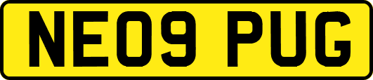 NE09PUG