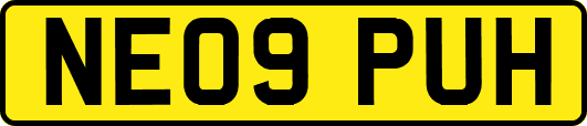 NE09PUH