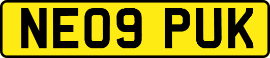 NE09PUK