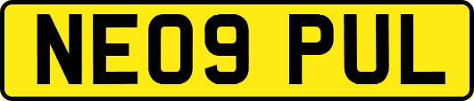 NE09PUL