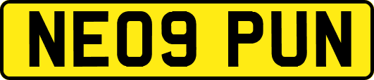 NE09PUN
