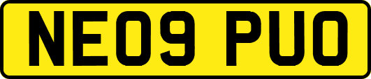 NE09PUO
