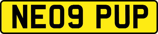 NE09PUP