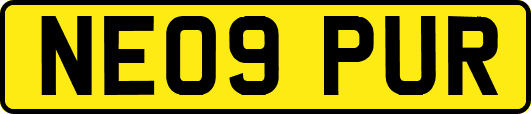 NE09PUR