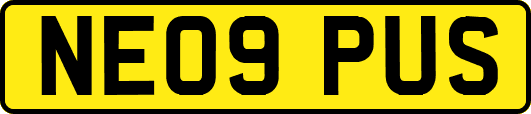 NE09PUS