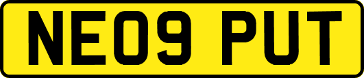 NE09PUT
