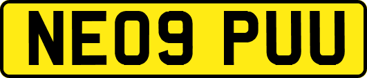 NE09PUU