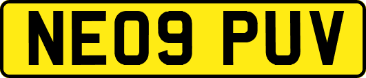 NE09PUV