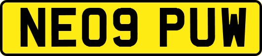 NE09PUW