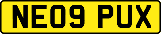 NE09PUX