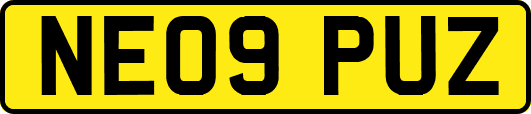 NE09PUZ