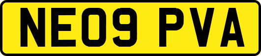 NE09PVA