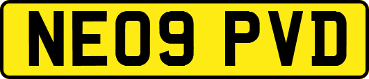 NE09PVD