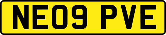 NE09PVE