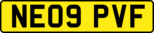 NE09PVF