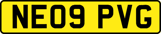 NE09PVG