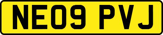 NE09PVJ