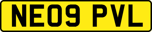 NE09PVL