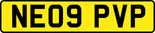 NE09PVP