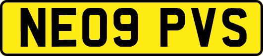 NE09PVS