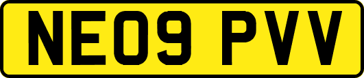 NE09PVV