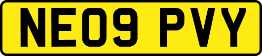 NE09PVY