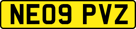 NE09PVZ