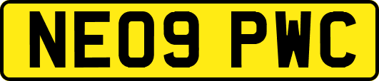 NE09PWC