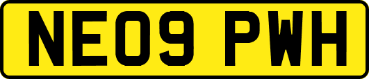 NE09PWH