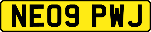 NE09PWJ