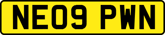 NE09PWN