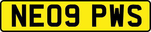 NE09PWS
