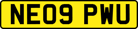 NE09PWU