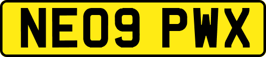 NE09PWX
