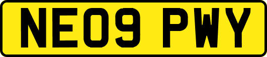 NE09PWY