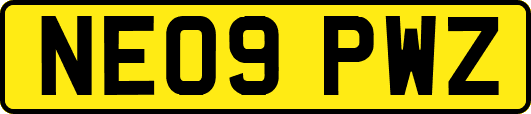 NE09PWZ