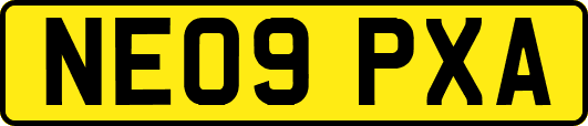 NE09PXA