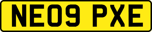 NE09PXE