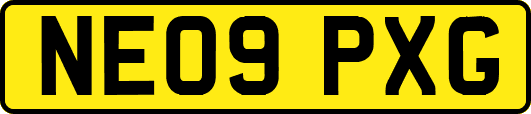 NE09PXG