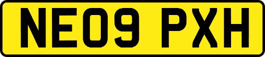 NE09PXH