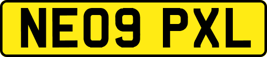 NE09PXL