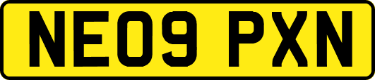 NE09PXN