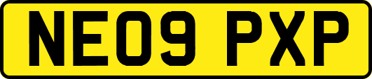 NE09PXP