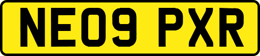 NE09PXR