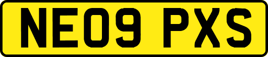 NE09PXS