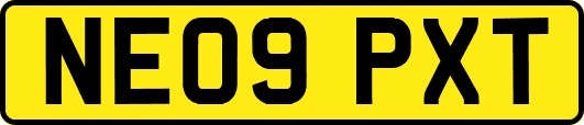NE09PXT