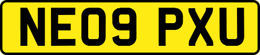 NE09PXU