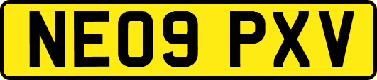 NE09PXV