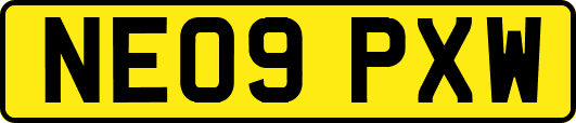 NE09PXW