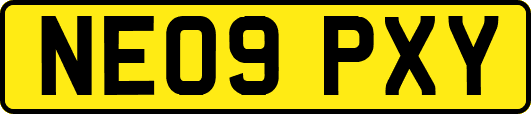 NE09PXY